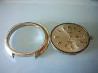 P1040410.webp
