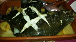 img20150331_213916.webp