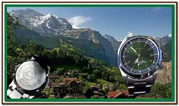 14961325743_eec221e800_b.webp