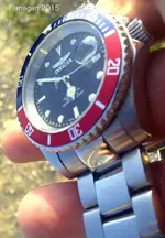 invicta13.webp