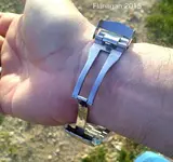 invicta7.webp