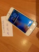 image.webp image.webp