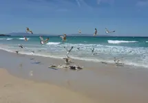 d7e0fa10cd0de00ca13290e2b9cdeb7a.webp