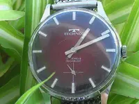 IMGA0723.webp