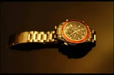 _D200064.webp