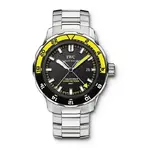 iwc.webp