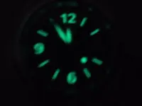 SNKE61_4.webp