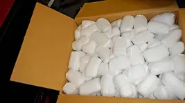 DSCN0824.webp