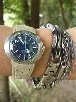 din7.webp