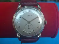 cyma 1.webp cyma 1.webp