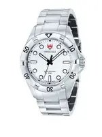 swiss eagle.webp