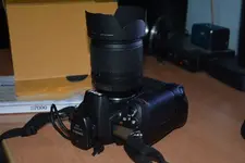 DSC_1305 (Small).webp