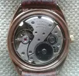 C31.webp