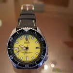 SEIKO_7002.webp