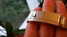 2015-05-19 21.14.54.webp