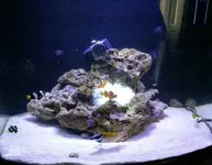 2015-04-17 10.17.45-2.webp