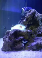 2015-04-17 10.26.50.webp