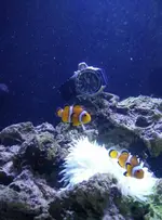 2015-04-17 10.42.21.webp