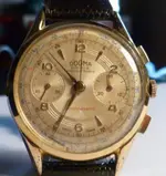P1010533-1_1.webp
