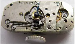 sdff.webp