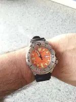 orange.webp