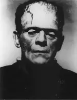 frankenstein1.webp
