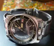 P1010574_1.webp