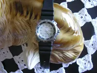 3696369 005.webp