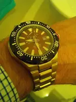 IMG_20150307_092955 (Copy).webp