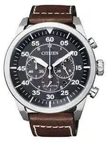 Citizen.webp