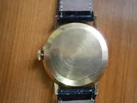 P5250144.webp