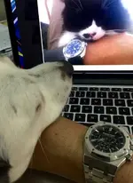 FullSizeRender.webp