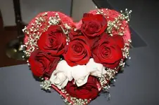 IMG_5059 (Medium).webp