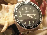 17.webp