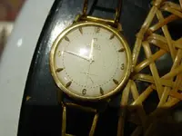 DSC00443.webp