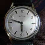 P1000813 copia.webp