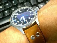steinhart piloto.webp