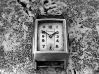 IMG_3167.webp IMG_3167.webp