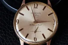 FESTINA.webp