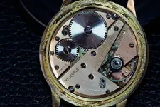 FESTINA INSIDE.webp FESTINA INSIDE.webp