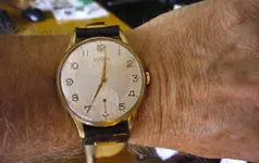 P1040848_0740.webp