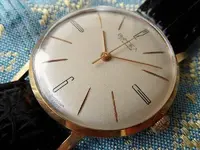 1038920244_x9EPy-L.webp