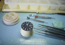 P1040787_0430.webp