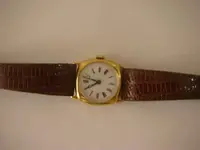 P1010004.webp
