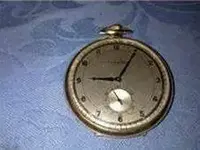 Cyma_2.webp Cyma_2.webp