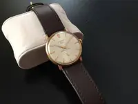 festina.webp festina.webp