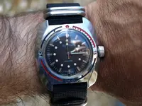 P6231187.webp