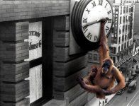 fotos-de-monos-orangutan-reloj.jpg