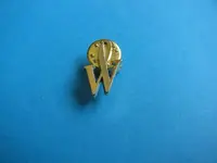 wat pin.jpg