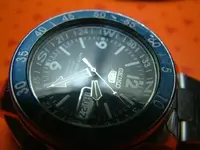 DSCF0039.webp